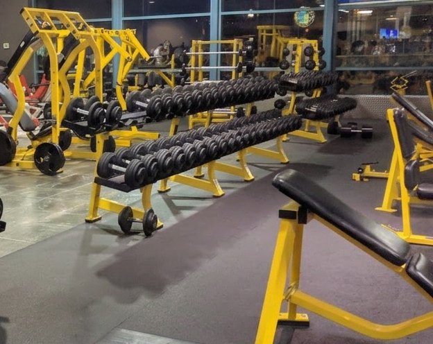 Dumbbell racks and benches at 24 HR Flex Fitness Prince George