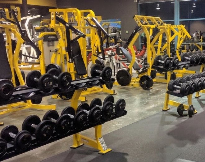 Plate-loaded strength machines at 24 HR Flex Fitness Prince George